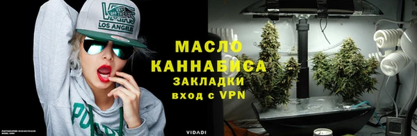 эйфоретик Гусь-Хрустальный