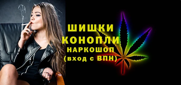 эйфоретик Гусь-Хрустальный