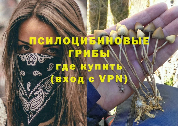 спиды Гусиноозёрск