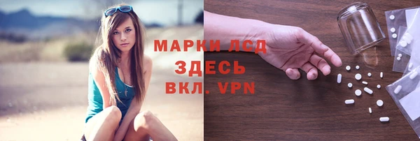 эйфоретик Гусь-Хрустальный