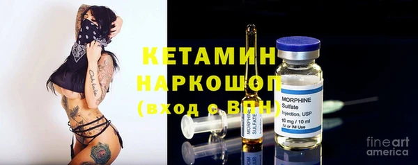 эйфоретик Гусь-Хрустальный