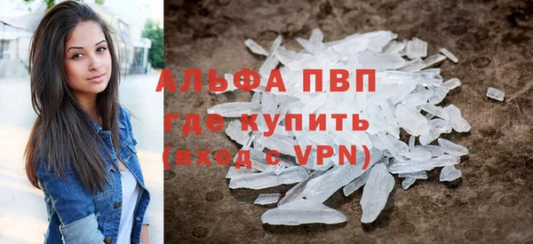 эйфоретик Гусь-Хрустальный