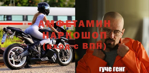 эйфоретик Гусь-Хрустальный