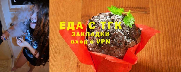 эйфоретик Гусь-Хрустальный
