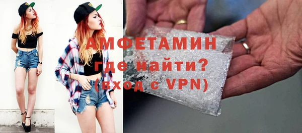 эйфоретик Гусь-Хрустальный
