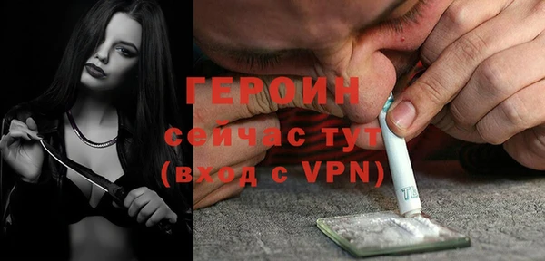 эйфоретик Гусь-Хрустальный