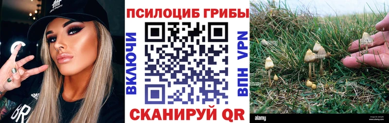 Купить  Карпинск  Галлюциногенные грибы Magic Shrooms 
