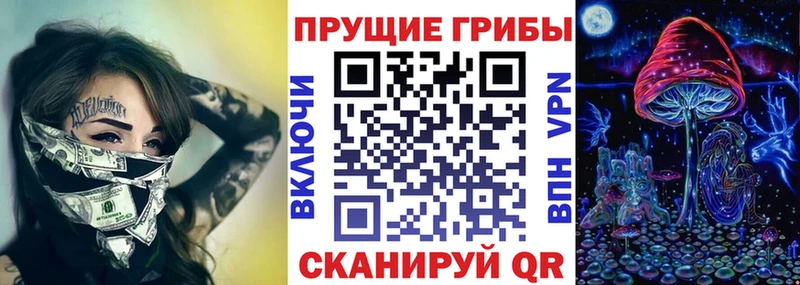 Псилоцибиновые грибы Cubensis Карпинск